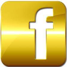 GB Facebook Pro